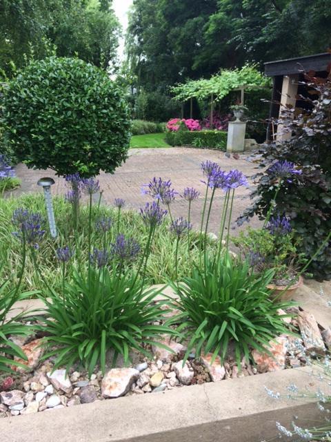 Agapanthus Bed And Breakfast Hoogkarspel Extérieur photo